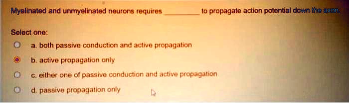 [GET ANSWER] Myelinated and unmyelinated neurons requires to propagate ...