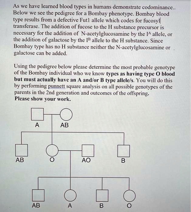 solved-as-we-have-learned-blood-types-in-humans-demonstrate-codominance-below-we-see-the