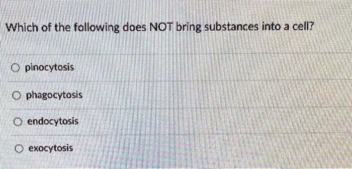 Which of the following does NOT bring substances into a cell?

pinocytosis
phagocytosis
endocytosis
exocytosis
