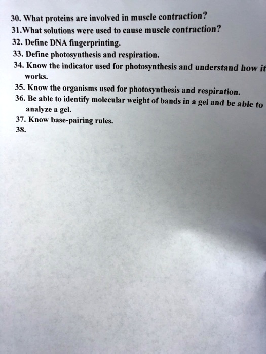 solved-30-what-proteins-are-involved-in-muscle-contraction-31-what