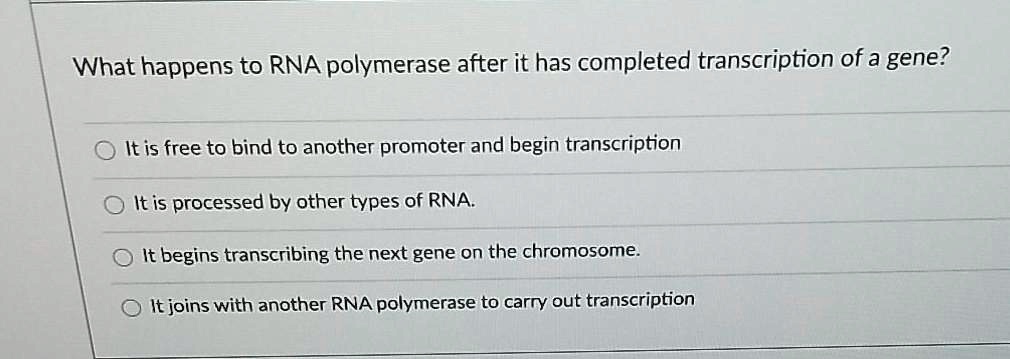 solved-what-happens-to-rna-polymerase-after-it-has-completed