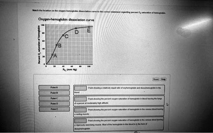 Text: Match The Location On The Oxygen-hemoglobin Curve To The Correct ...