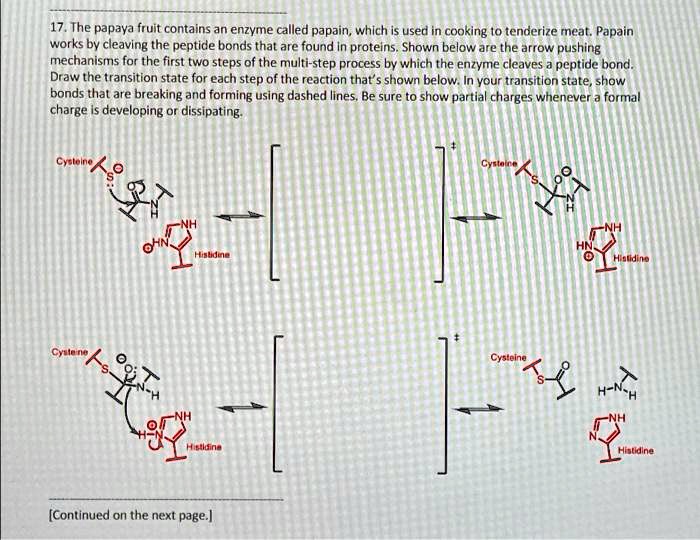 17. The papaya fruit contains an enzyme called papain, which is used in cooking to tenderize meat. Papain
works by cleaving the peptide bonds that are found in proteins. Shown below are the arrow pushing
mechanisms for the first two steps of the multi-step process by which the enzyme cleaves a peptide bond.
Draw the transition state for each step of the reaction that's shown below. In your transition state, show
bonds that are breaking and forming using dashed lines. Be sure to show partial charges whenever a formal
charge is developing or dissipating.