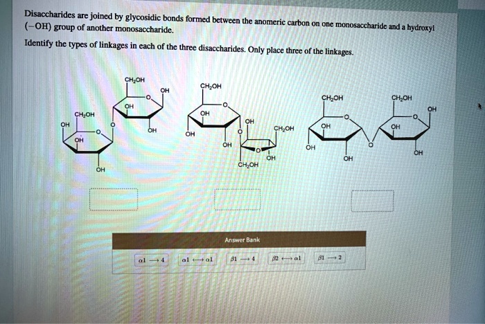 solved-disaccharides-joined-by-glycosidic-bonds-formed-between-the