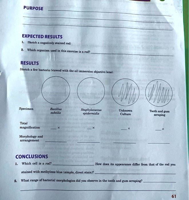 SOLVED PURPOSE EXPECTED RESULTS Sketch negatively stained rod Which