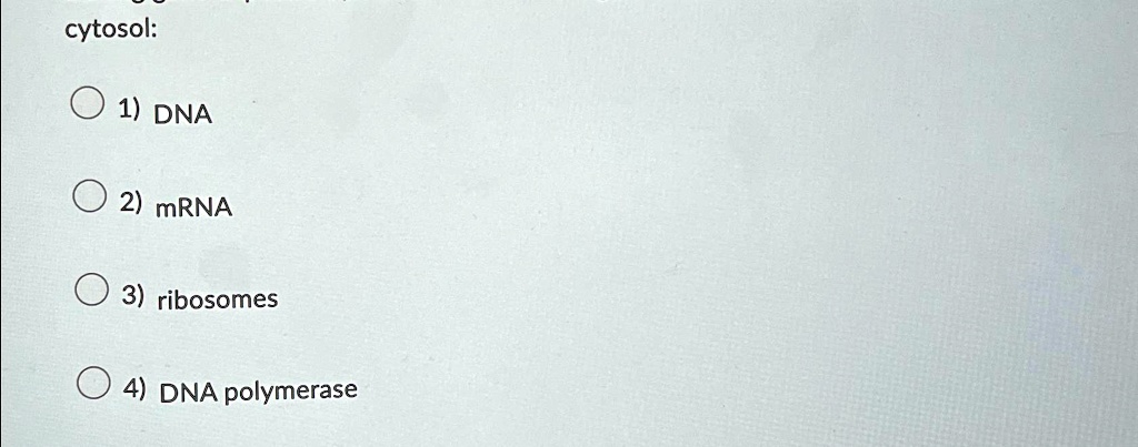 SOLVED Cytosol DNA MRNA Ribosomes DNA Polymerase Cytosol O 1 DNA O