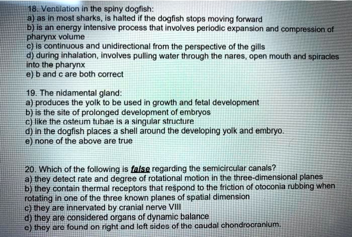 VIDEO solution: 18. Ventilation in the spiny dogfish, as in most sharks ...