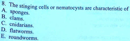 8. The stinging cells or nematocysts are characteristic of
A. sponges.
B. clams.
C. cnidarians.
D. flatworms.
E. roundworms.