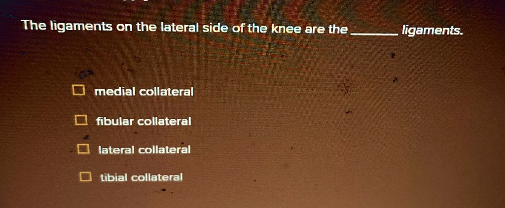 the ligaments on the lateral side of the knee are the ligaments medial ...