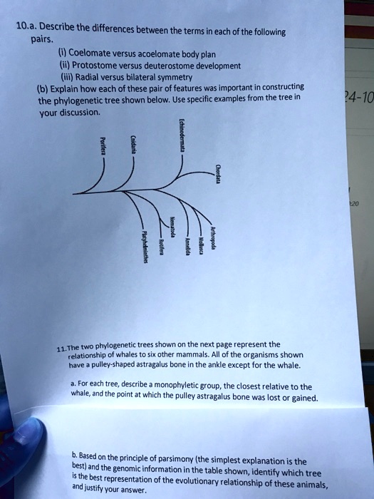 SOLVED: 10.a. Describe the differences between the terms of each of the ...