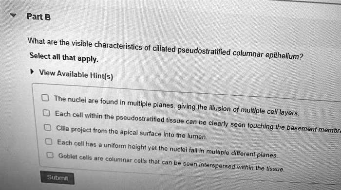 Part B
What are the visible characteristics of ciliated pseudostratified columnar epithelium?
Select all that apply.
View Available Hint(s)
The nuclei are found in multiple planes, giving the illusion of multiple cell layers.
Each cell within the pseudostratified tissue can be clearly seen touching the basement membrane.
Cilia project from the apical surface into the lumen.
Each cell has a uniform height yet the nuclei fall in multiple different planes.
Goblet cells are columnar cells that can be seen interspersed within the tissue.