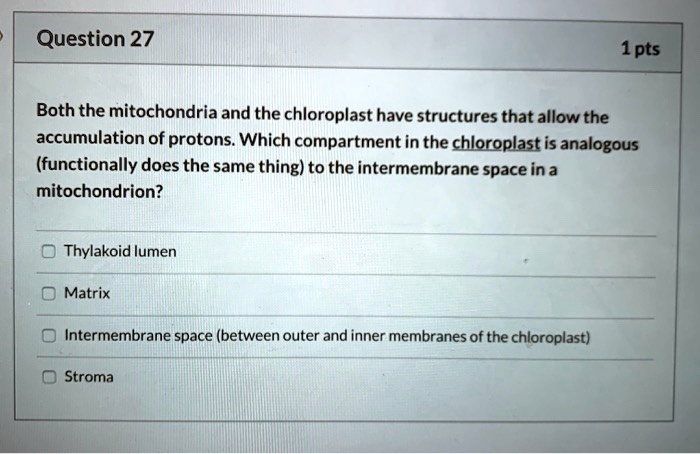 Both the mitochondria and the chloroplast have structures that allow the accumulation of protons. Which compartment in the chloroplast is analogous (functionally does the same thing) to the intermembrane space in a mitochondrion? Thylakoid lumen Matrix Intermembrane space (between outer and inner membranes of the chloroplast) Stroma