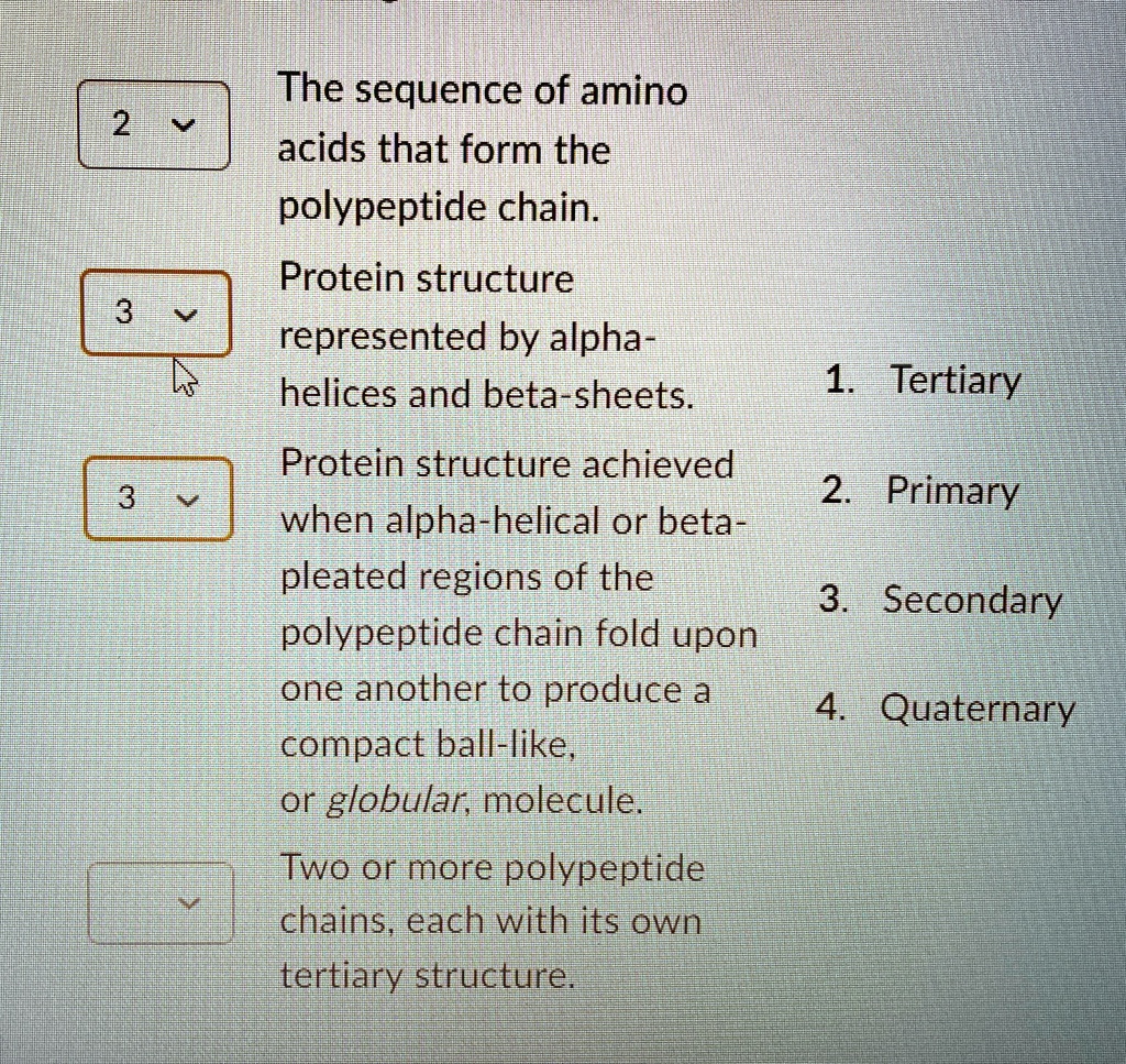 2 the sequence of amino acids that form the polypeptide chain protein ...