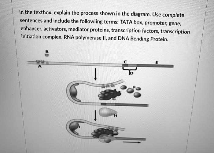 Tata Box Example In the textbox; explain the process shown in the diagram: Use complete ...