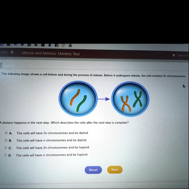 SOLVED: The following image shows a cell before and during the process ...