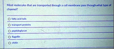 most molecules that are transported through a cell membrane pass through what type of channel fatty acid tails transport proteins peptidoglycan flagellin chitin 69212