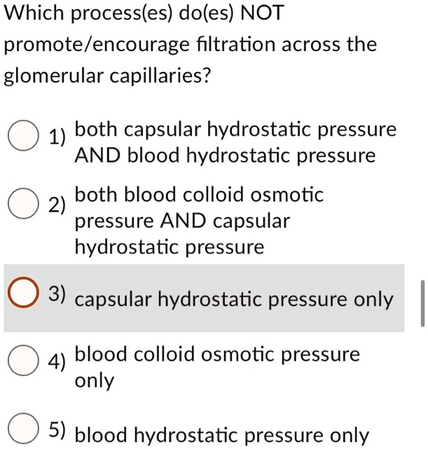 SOLVED Which process(es) do(es) NOT promote/encourage filtration across the glomerular