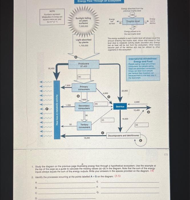 173
1. Study the dagram on the previous page illustrating energy flow through a hypothetical ecosystem. Use the example at the top of the page as a gulde to calculate the missing values (a)-(d) in the diagram. Note that the sum of the energy inputs always equals the sum of the energy outputs. Wriate your answers in the spacos provided on the diagram. ( 4 )
2. Identily the processes occurring at the points labelled A - G on the dlagram: (3,5)
A. E.
B. F.
c. G.
D.