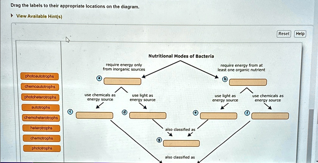 Decoding the Chaos: A Comprehensive Guide to Drag The Labels To Their Appropriate Locations In This Diagram
