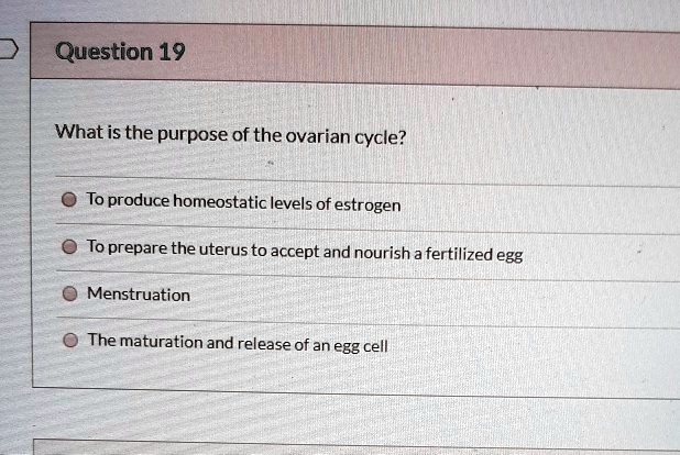 Question 19
What is the purpose of the ovarian cycle?
To produce homeostatic levels of estrogen
To prepare the uterus to accept and nourish a fertilized egg
Menstruation
The maturation and release of an egg cell