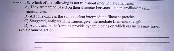 10. Which of the following is not true about intermediate filaments?
A) They are named based on their diameter between actin microfilaments and
microtubules.
B) All cells express the same nuclear intermediate filament proteins.
C) Staggered, antiparallel tetramers give intermediate filaments strength.
D) Acidic and basic keratins provide dynamic paths on which organelles may travel.
Explain your selection: