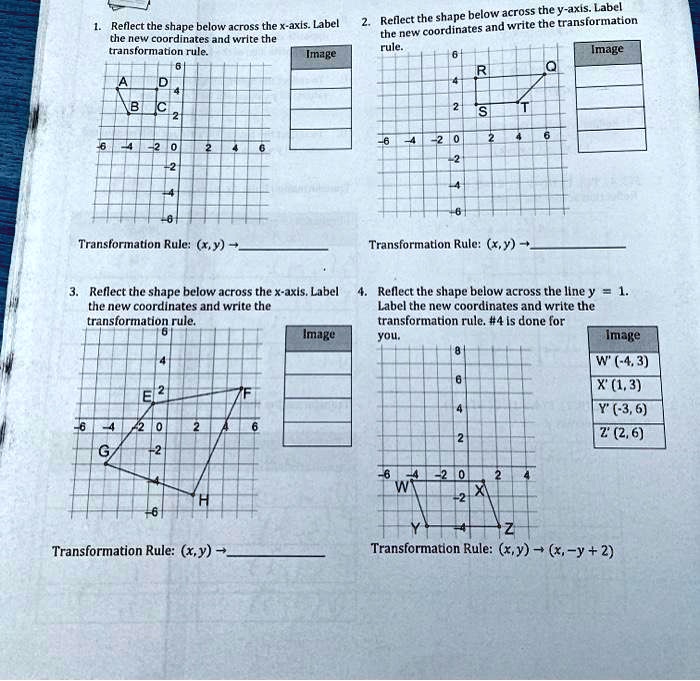 SOLVED: across the y-axis Label Reflect the shape below . write ...