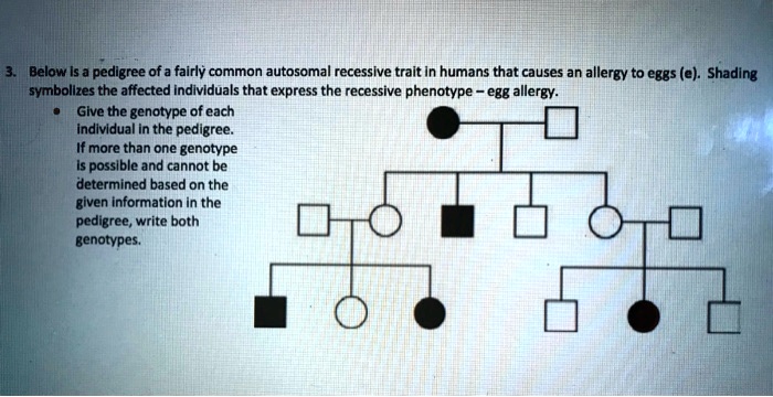 pedigree allergies