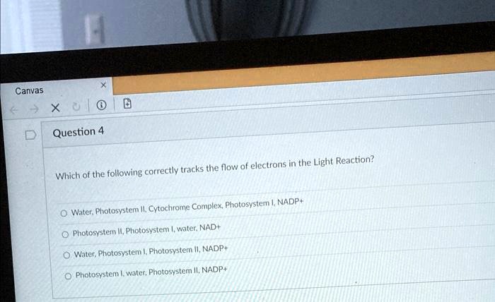 Which of the following correctly tracks the flow of electrons in the Light Reaction?
Water, Photosystem II, Cytochrome Complex, Photosystem I, NADP+
Photosystem II, Photosystem I, water, NAD+
Water, Photosystem I, Photosystem II, NADP+
Photosystem I, water, Photosystem II, NADP+