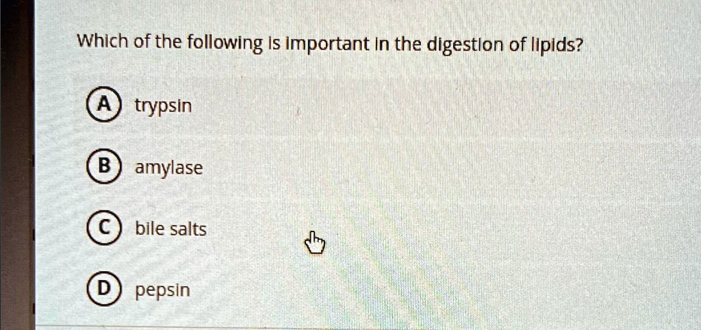 SOLVED: Which of the following is important in the digestion of lipids ...