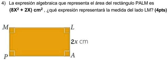 SOLVED: La expresión algebraica que representa el área del rectángulo