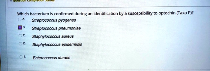 SOLVED: Which bacterium is confirmed during an identification by ...