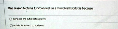 one reason biofilms function well as a microbial habitat is because surfaces are subject to gravity nutrients adsorb to surfaces 58088