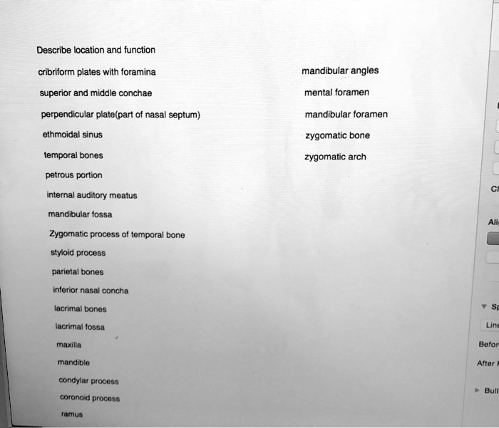 SOLVED Text Describe location and function Cribriform plates with