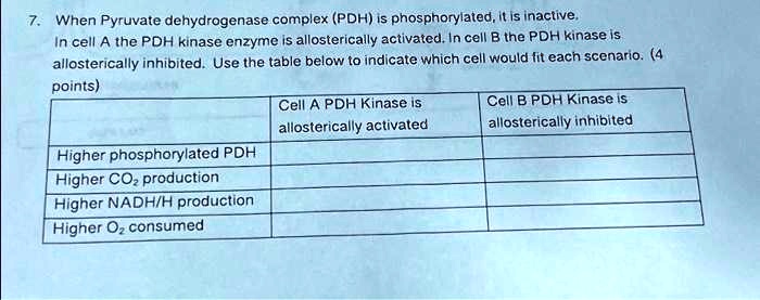 7. When Pyruvate dehydrogenase complex (PDH) is phosphorylated, it is inactive.
In cell A the PDH kinase enzyme is allosterically activated. In cell B the PDH kinase is
allosterically inhibited. Use the table below to indicate which cell would fit each scenario. (4
points)
Higher phosphorylated PDH
Higher CO2 production
Higher NADH/H production
Higher O? consumed
Cell A PDH Kinase is
allosterically activated
Cell B PDH Kinase is
allosterically inhibited