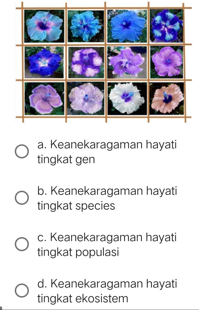 SOLVED Ditemui suatu ekosistem dengan karakteristik sebagai berikut