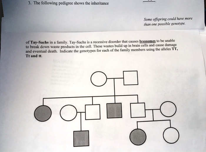 SOLVED: The following pedigree shows the inheritance of Tay-Sachs in a