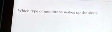 which type of membrane makes up the skin which type of membrane makes up the skin 87804