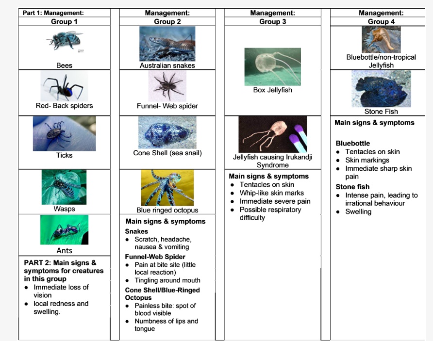 Part 1: Management: Group 1 Management: Group 2 Management: …
