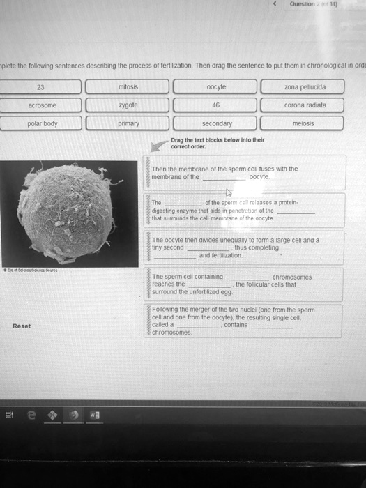 SOLVED Question > (ot 14) plete the following sentences descibing the