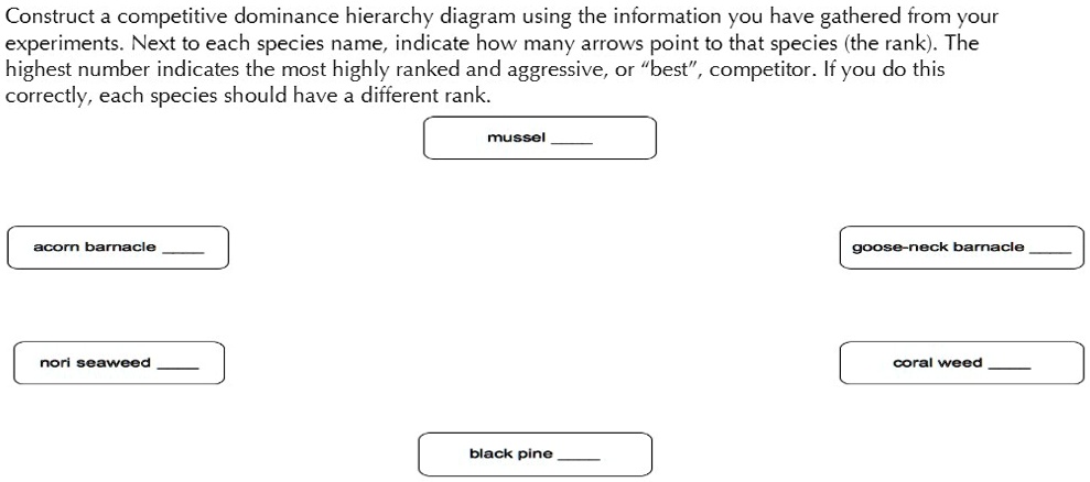 Construct a competitive dominance hierarchy diagram using the information you have gathered from your experiments. Next to each species name, indicate how many arrows point to that species (the rank). The highest number indicates the most highly ranked and aggressive, or "best", competitor. If you do this correctly, each species should have a different rank.
mussel 
acorn barnacle 
goose-neck barnacle 
nori seaweed 
coral weed 
black pine 
