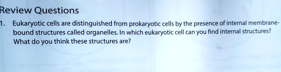 SOLVED: Review Questions 1 . Eukaryotic cells are distinguished from ...