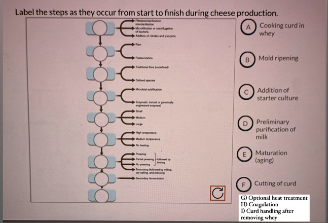 label the steps as they occur from start to finish during cheese ...