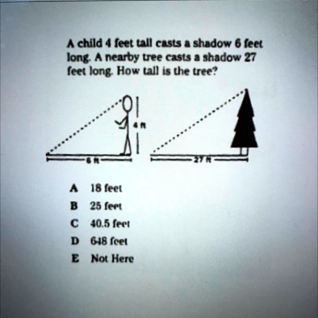 In the figure, the person is 6 ft tall and his shadow is 5 ft long. The  tree's shadow is 8 ft long. What 
