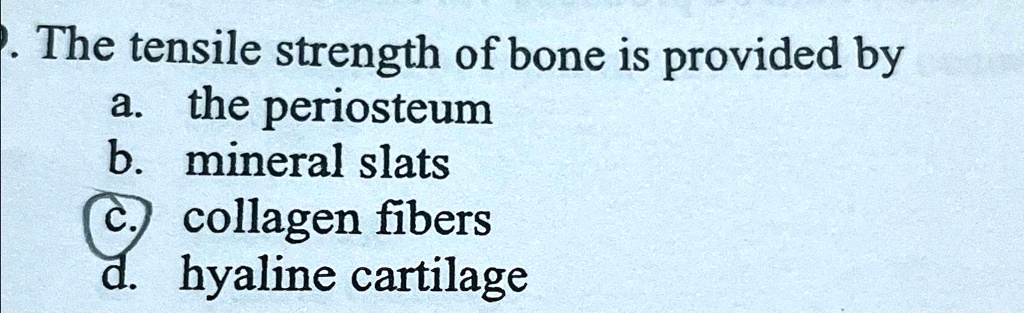 The tensile strength of bone is provided by
a. the periosteum
b. mineral slats
c. collagen fibers
d. hyaline cartilage