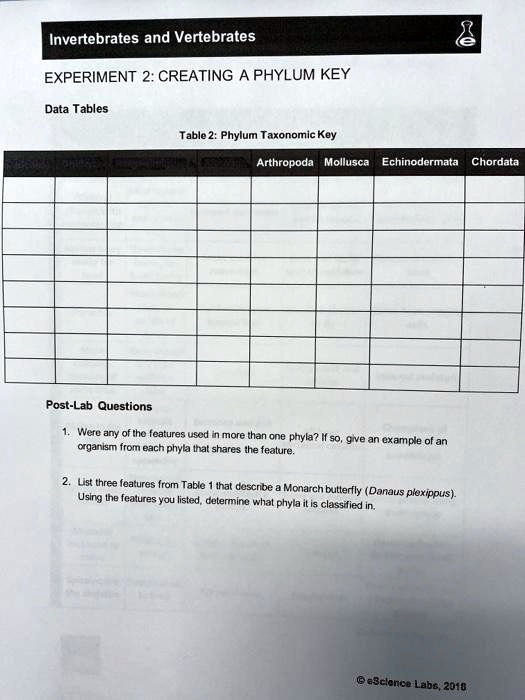 SOLVED: Invertebrates and Vertebrates EXPERIMENT 2: CREATING A PHYLUM