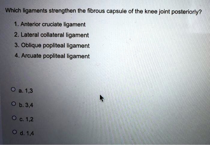 Oblique Popliteal Ligament And Arcuate Popliteal Ligament