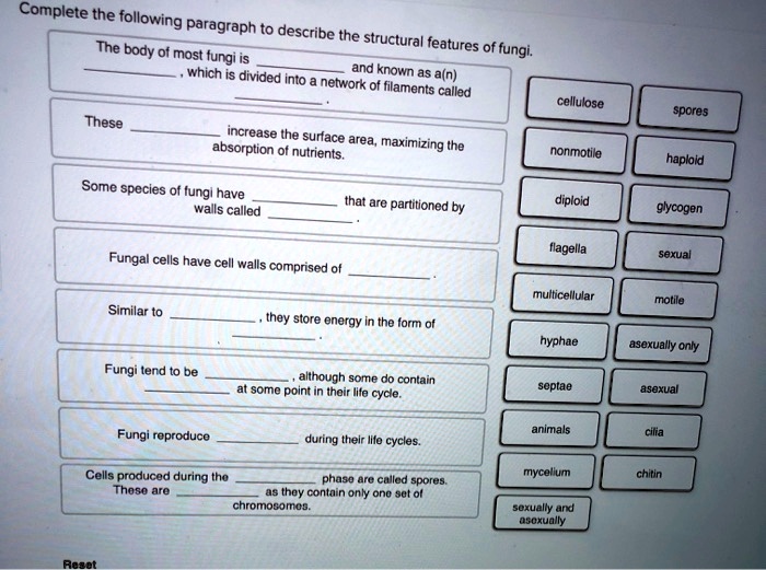 Complete the following paragraph to describe the structural features of fungi.

The body of most fungi is  and known as a(n) , which is divided into a network of filaments called .

These  increase the surface area, maximizing the absorption of nutrients.

Some species of fungi have  that are partitioned by walls called .

Fungal cells have cell walls comprised of .

Similar to , they store energy in the form of .

Fungi tend to be , although some do contain  at some point in their life cycle.

Fungi reproduce  during their life cycles.

Cells produced during the  phase are called spores. These are  as they contain only one set of chromosomes.

cellulose spores
nonmotile haploid
diploid glycogen
flagella sexual
multicellular motile
hyphae asexually only
septae asexual
animals cilia
mycelium chitin
sexually and asexually