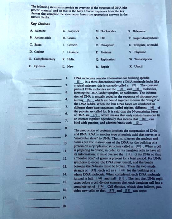 The following statements provide an overview of the structure of DNA (the genetic material) and its role in the body. Choose responses from the key choices that complete the statements. Insert the appropriate answers in the answer blanks.

Key Choices
A. Adenine G. Enzymes M. Nucleotides S. Ribosome
B. Amino acids H. Genes N. Old T. Sugar (deoxyribose)
C. Bases I. Growth O. Phosphate U. Template, or model
D. Codons J. Guanine P. Proteins V. Thymine
E. Complementary K. Helix Q. Replication W. Transcription
F. Cytosine L. New R. Repair X. Uracil

1. DNA molecules contain information for building specific (1). In a three-dimensional view, a DNA molecule looks like
2. a spiral staircase; this is correctly called a (2). The constant parts of DNA molecules are the (3) and (4) molecules,
3. forming the DNA-ladder uprights, or backbones. The information of DNA is actually coded in the sequence of nitrogen-containing (5), which are bound together to form the "rungs" of
4. the DNA ladder. When the four DNA bases are combined in different three-base sequences, called triplets, different (6) of
5. the protein are called for. It is said that the N-containing bases of DNA are (7), which means that only certain bases can fit
6. or interact together. Specifically this means that (8) can bind with guanine, and adenine binds with (9).
7. The production of proteins involves the cooperation of DNA
8. and RNA. RNA is another type of nucleic acid that serves as a "molecular slave" to DNA. That is, it leaves the nucleus and
9. carries out the instructions of the DNA for the building of a protein on a cytoplasmic structure called a (10). When a cell
10. is preparing to divide, in order for its daughter cells to have all its information, it must oversee the (11) of its DNA so that
11. a "double dose" of genes is present for a brief period. For DNA synthesis to occur, the DNA must uncoil, and the bonds
12. between the N-bases must be broken. Then the two single strands of (12) each act as a (13) for the building of a
13. whole DNA molecule. When completed, each DNA molecule formed is half (14) and half (15). The fact that DNA replicates before a cell divides ensures that each daughter cell has a
14. complete set of (16). Cell division, which then follows, provides new cells so that (17) and (18) can occur.
15.
16.
17.
18.