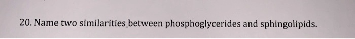 20. Name two similarities between phosphoglycerides and sphingolipids.