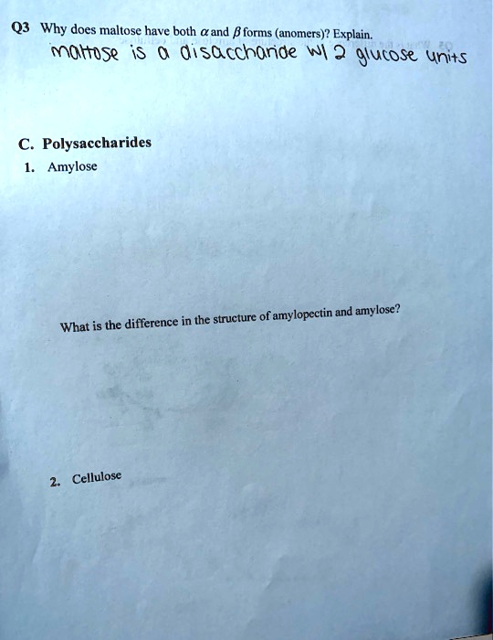 Q3 Why does maltose have both ? and ? forms (anomers)? Explain.
maltose is a disaccharide w/ 2 glucose units
C. Polysaccharides
1. Amylose
What is the difference in the structure of amylopectin and amylose?
2. Cellulose